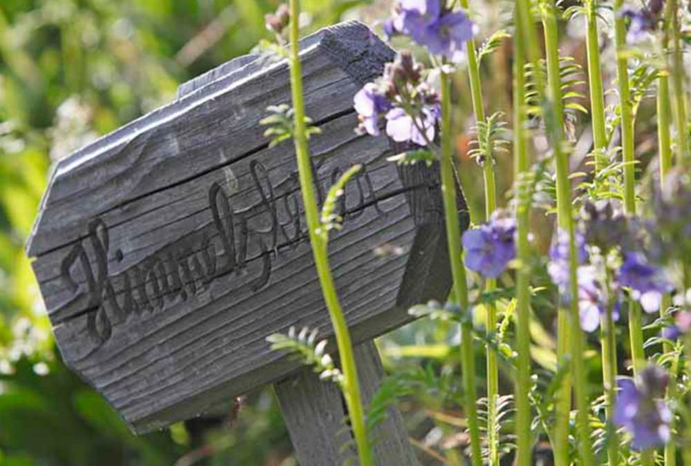 Fornellahof | La Majun - Kräuter aus unserem Garten